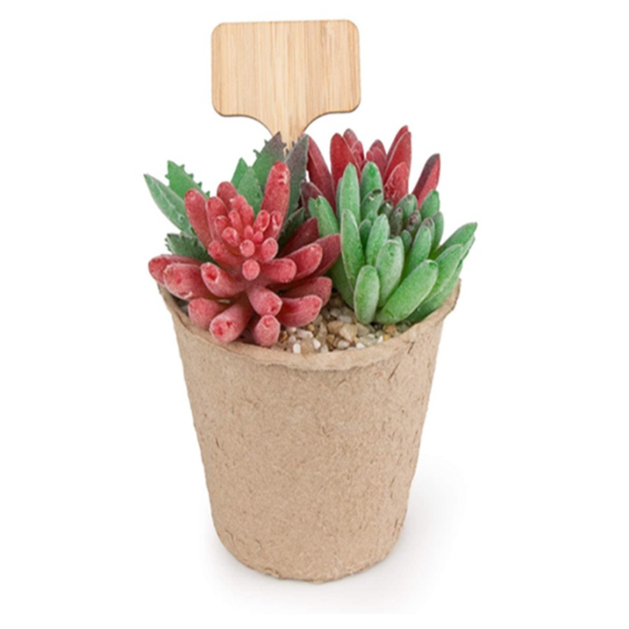 100 sztuk drewnianych etykiet  – Floral Picks Wood recenzja i cena